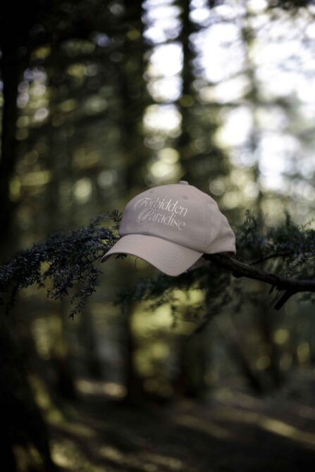 Beige cap with Forbidden Paradise text sitting on evergreen branch in forest