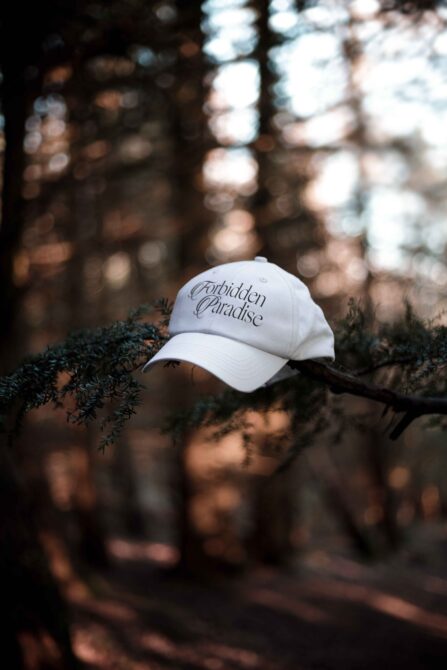 White cap with Forbidden Paradise text on evergreen branch with warm light