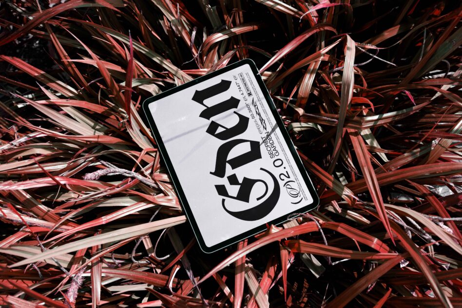 Black tablet with white bold typeface resting on deep red dried plant leaves