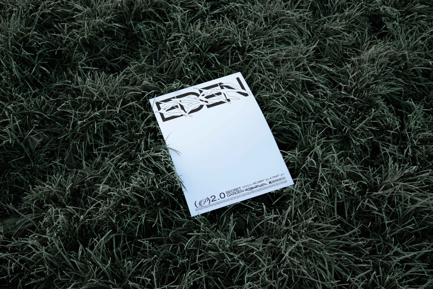 White paper with geometric logo layout sitting on dried grass field