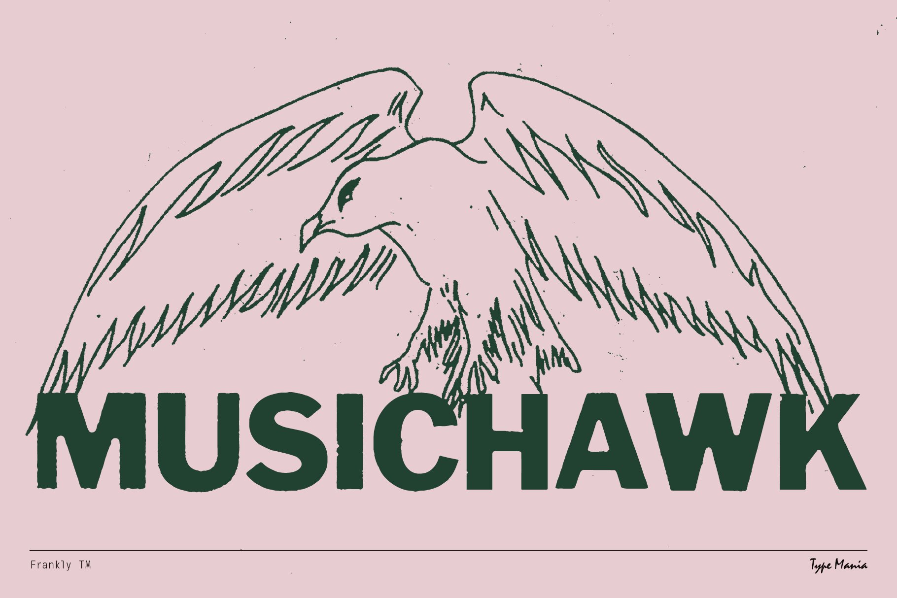 Hand-drawn hawk sketch with bold sans-serif text Music Hawk, ideal for graphic designers seeking unique font designs or music-related templates.
