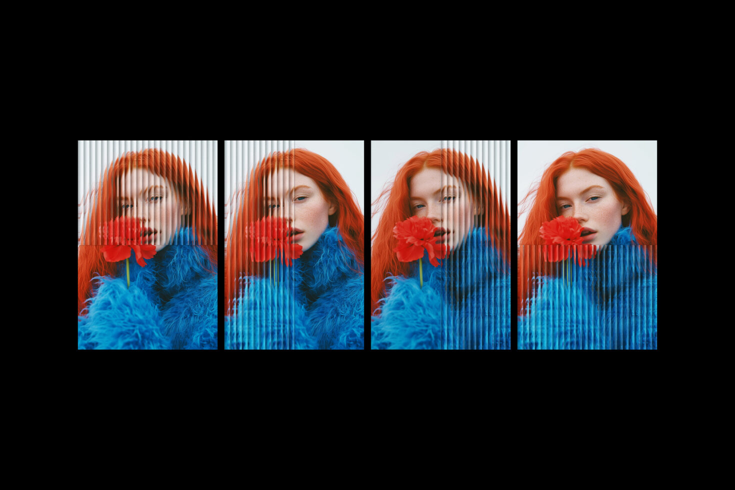 Model in a blue coat holding a red flower with a striped distortion effect. Ideal for graphics projects and creative mockups. Fashion photography asset.