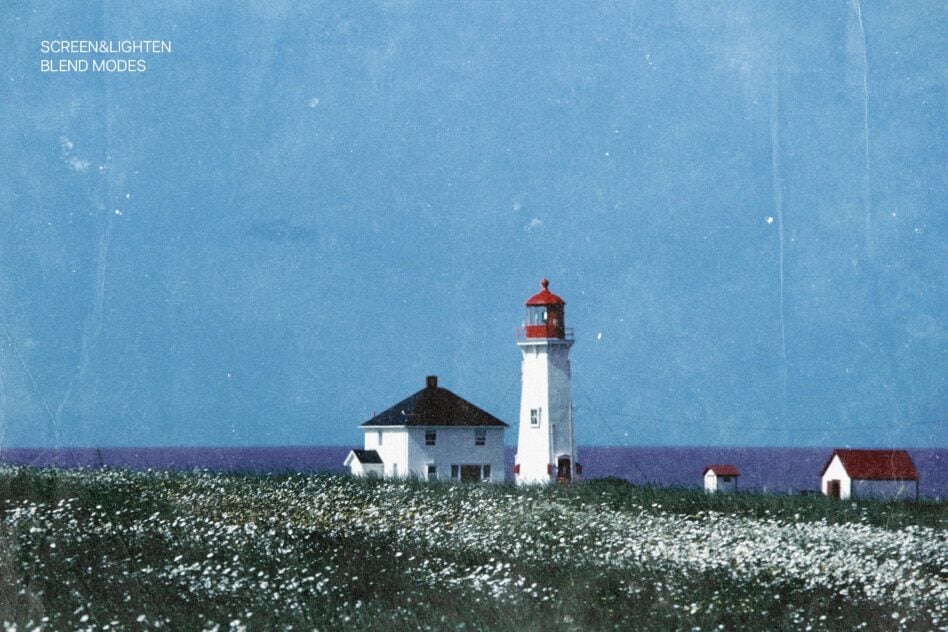 Coastal lighthouse with red roof in wildflower field under blue sky