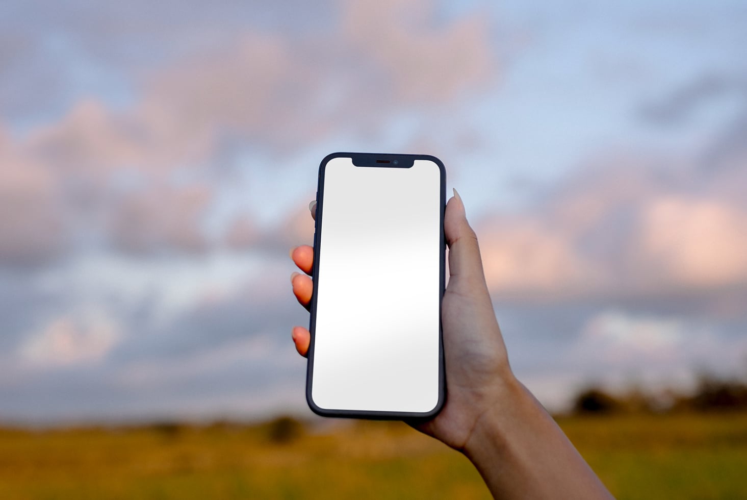 Hand holding phone with blank white screen against cloudy sky over farmland