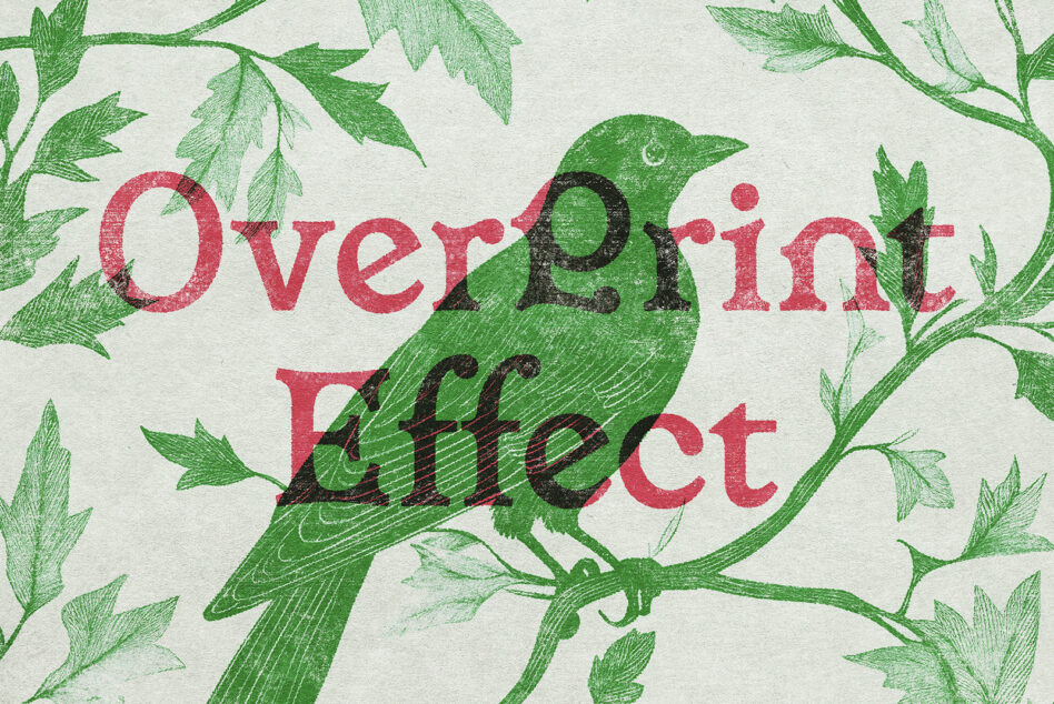Vintage botanical print with green bird on branch, red serif text reading Over Print Effect