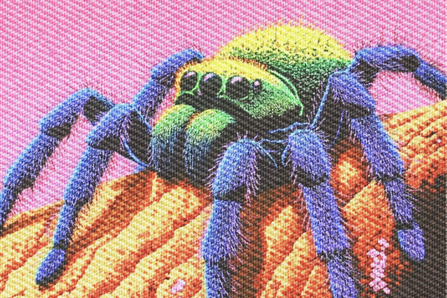 Vibrant pixel art spider on a branch with pink background showcasing bold color contrast perfect for digital designers graphics pattern texture.