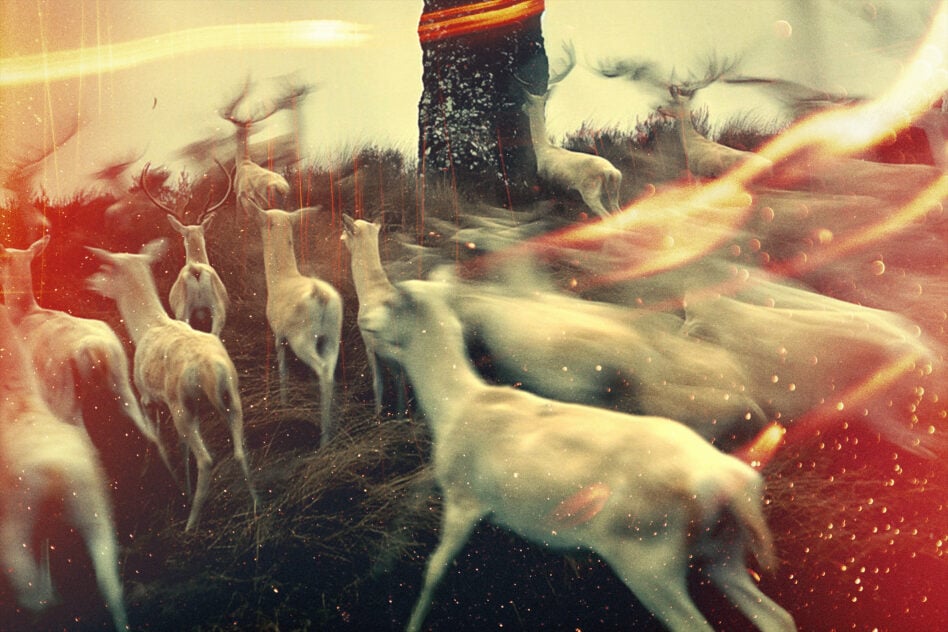 Herd of deer in misty forest with warm orange light leaks, film grain texture