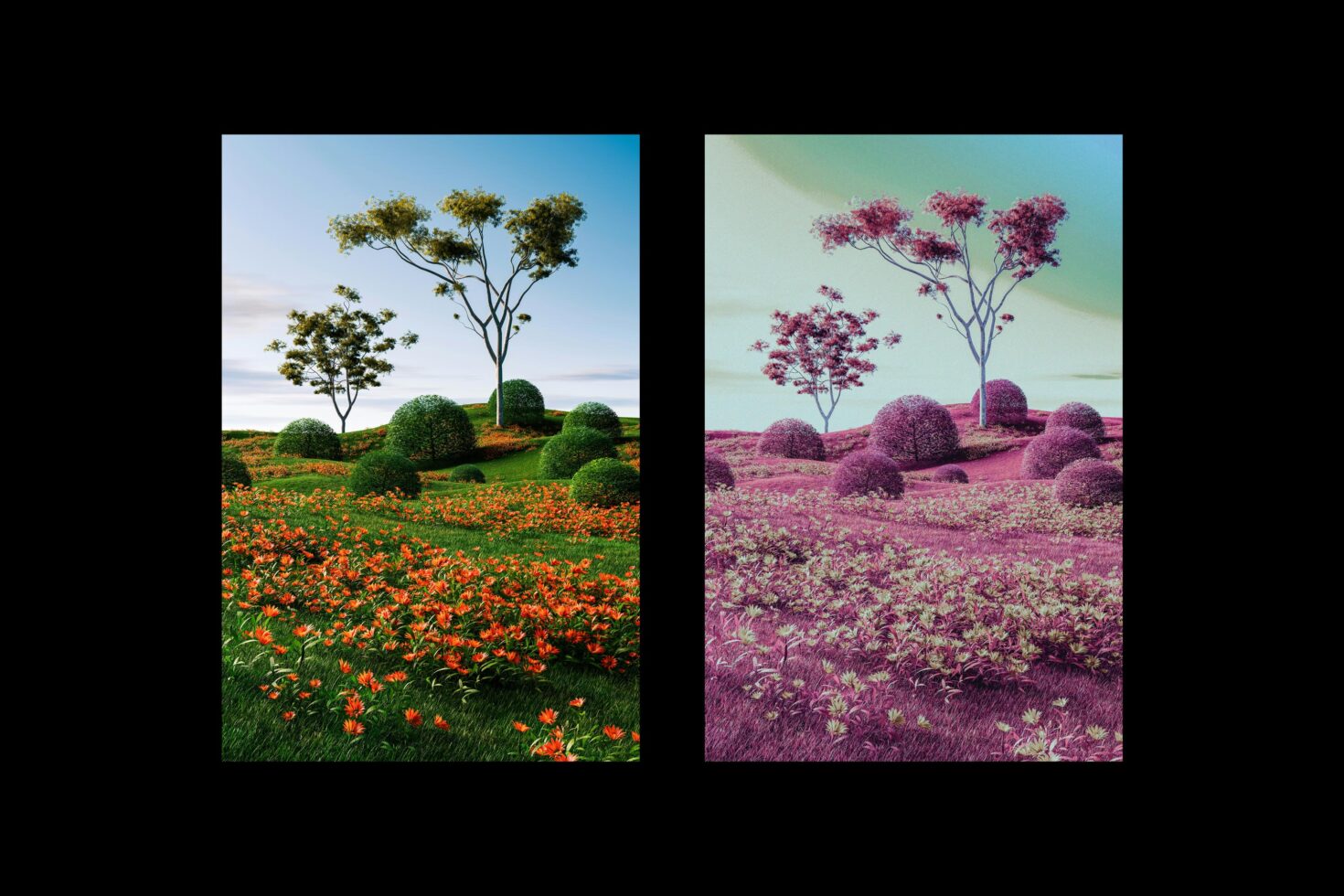 Vibrant landscape illustration featuring two contrasting designs side by side with lush floral fields and trees perfect for graphics templates and mockups.