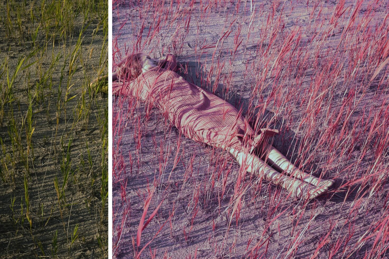 Side-by-side image of a grassy field, with one half showing natural green and the other half with edited pink and red hues featuring a person lying down.