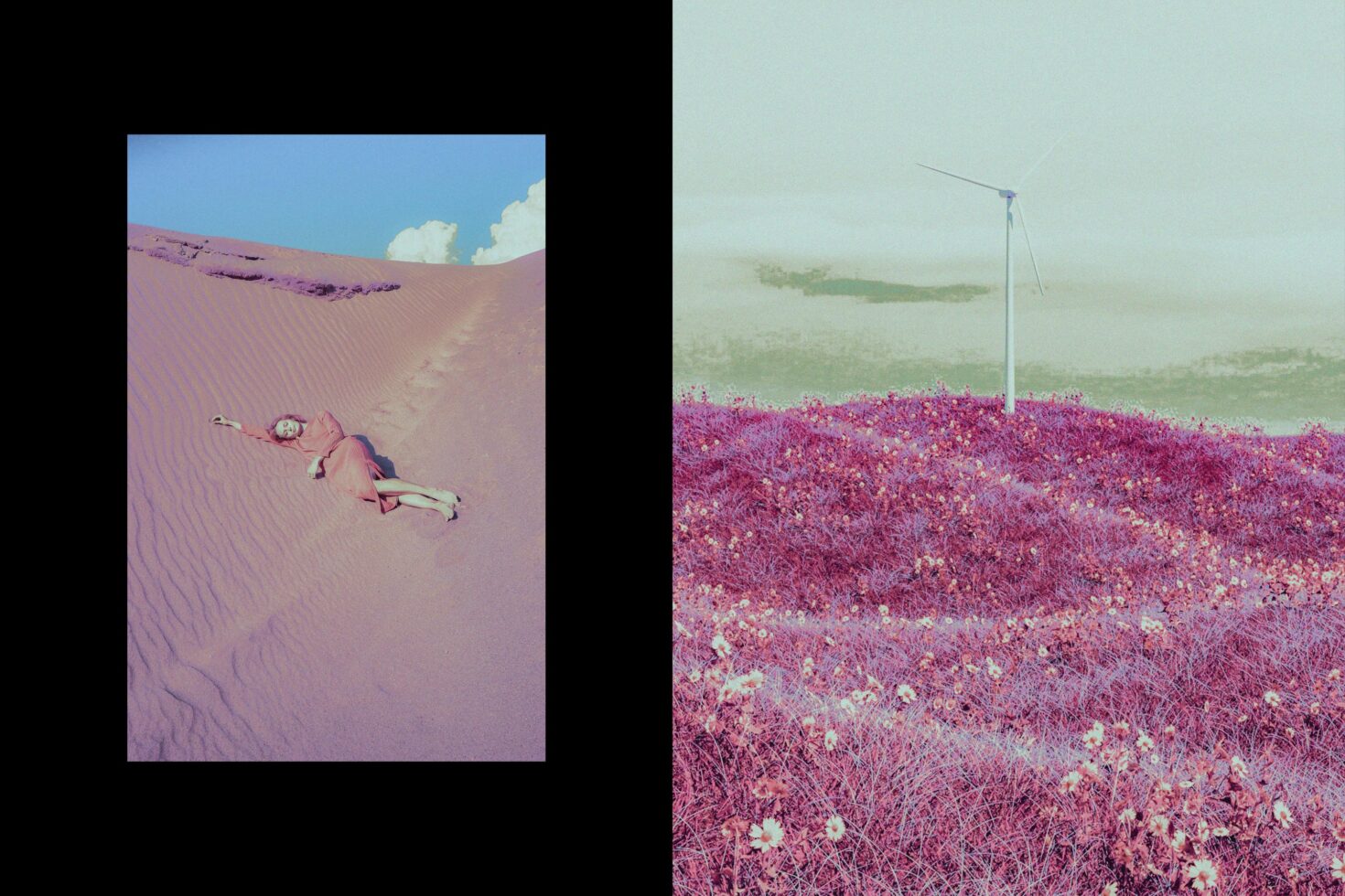 Surreal art design with woman on purple sand dune and wind turbine in vibrant pink field. Perfect for creative graphic design projects and concepts.