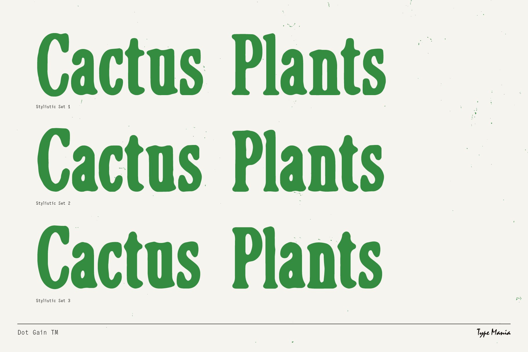Vintage-style green typeface showcasing Cactus Plants in three stylistic sets for typography design. Ideal for templates, branding, graphics.