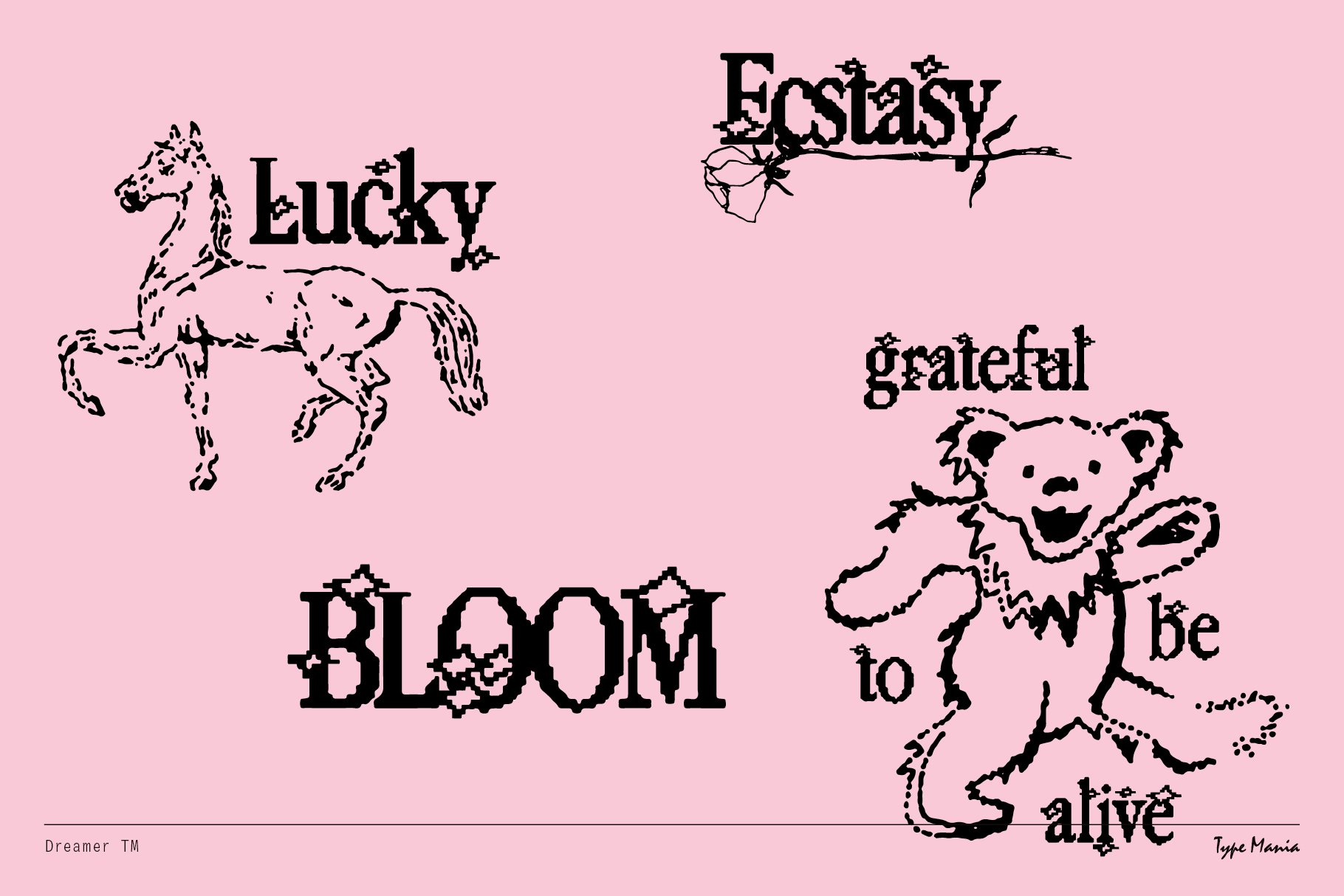 Pink background with black graphic text elements featuring words Lucky Ecstasy Bloom with illustrated horse and bear. Typography design assets for designers.