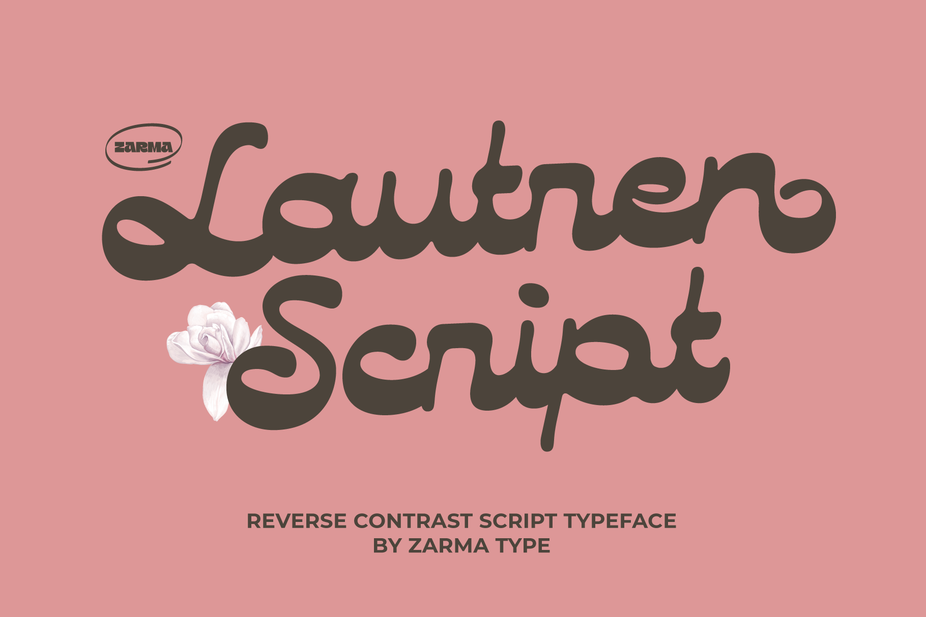 Bold retro script font Lautren Script on pink background with a flower accent. Ideal for creative design projects Typography reverse contrast typeface.
