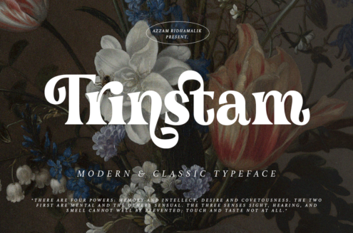 Trinstam font by Zarma Type