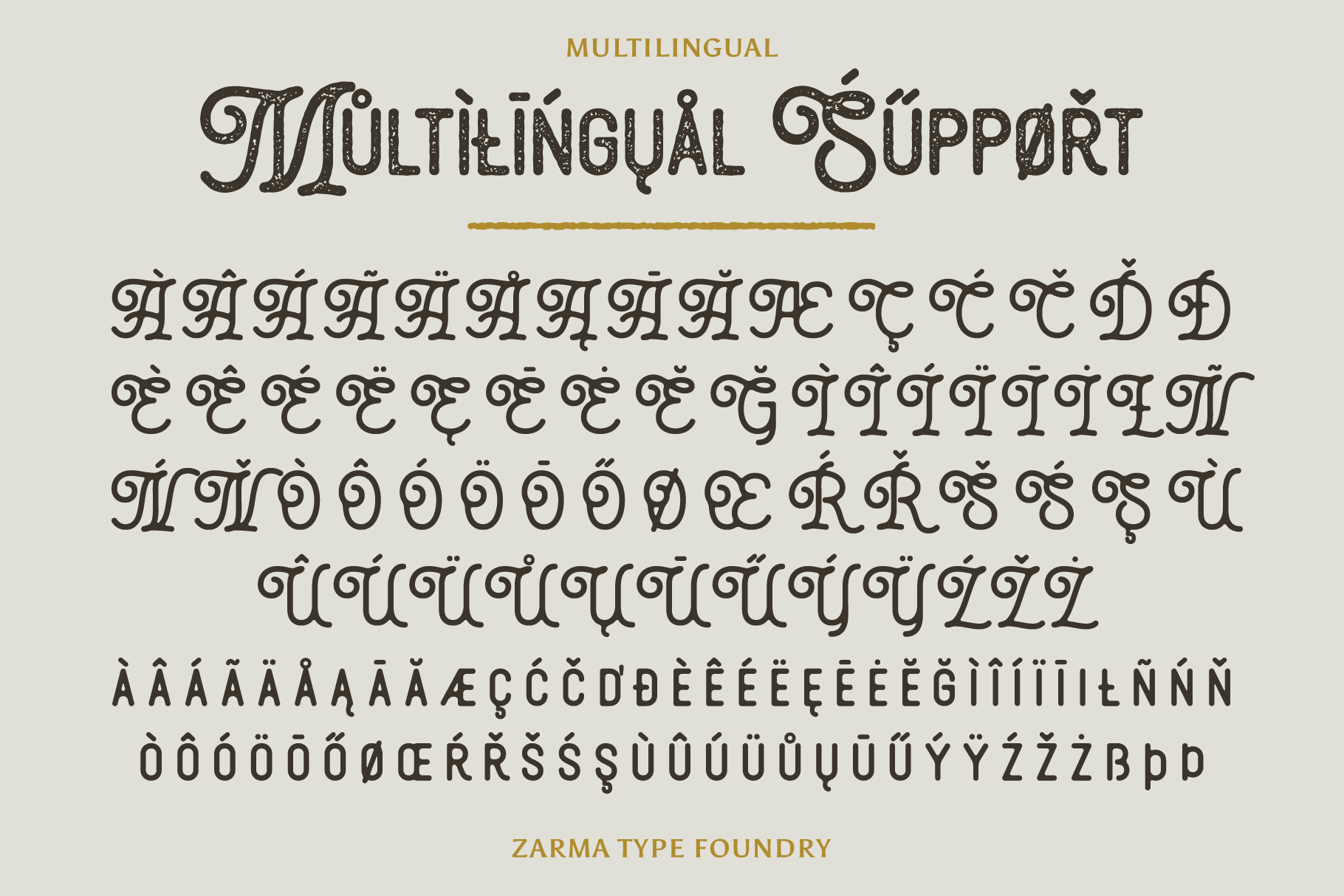 Multilingual serif font showcasing accented characters for designers. Perfect for typography projects with European language support. Font graphics asset.