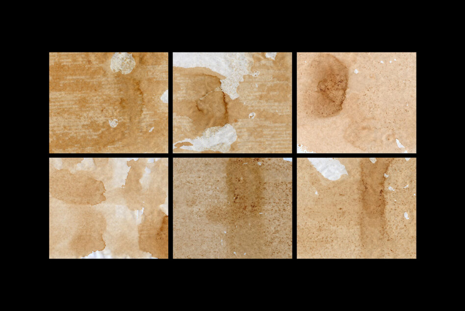 Six close-up scans of aged paper with water stains, creases, worn edges