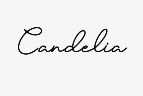 Stylish cursive font Candela on white background suitable for designers seeking elegant font assets for branding graphic design and typography projects.