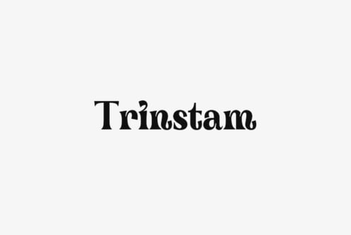 Bold serif font design on a white background displaying the text Trinstam ideal for branding typography graphic design digital asset marketplace SEO
