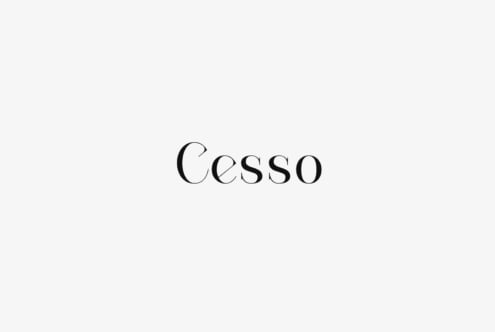 Elegant serif font design displaying the word Cesso on a white background suitable for graphic designers typography projects branding templates