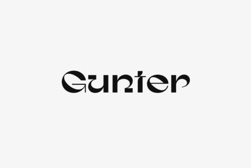 Stylistic black font text Gunter on a white background ideal for graphic designers seeking unique font assets for branding and design projects.