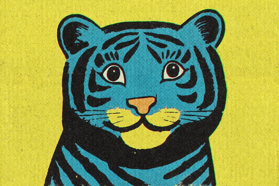 Blue tiger face with yellow whiskers staring straight ahead