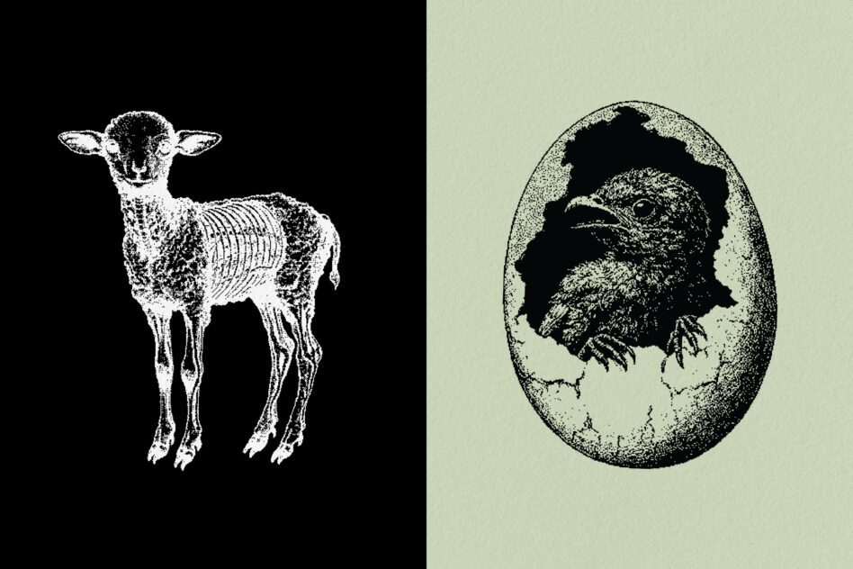 Vintage monochrome illustration featuring a lamb and a hatching chick. Perfect for graphic design projects, animal-themed templates, retro art.