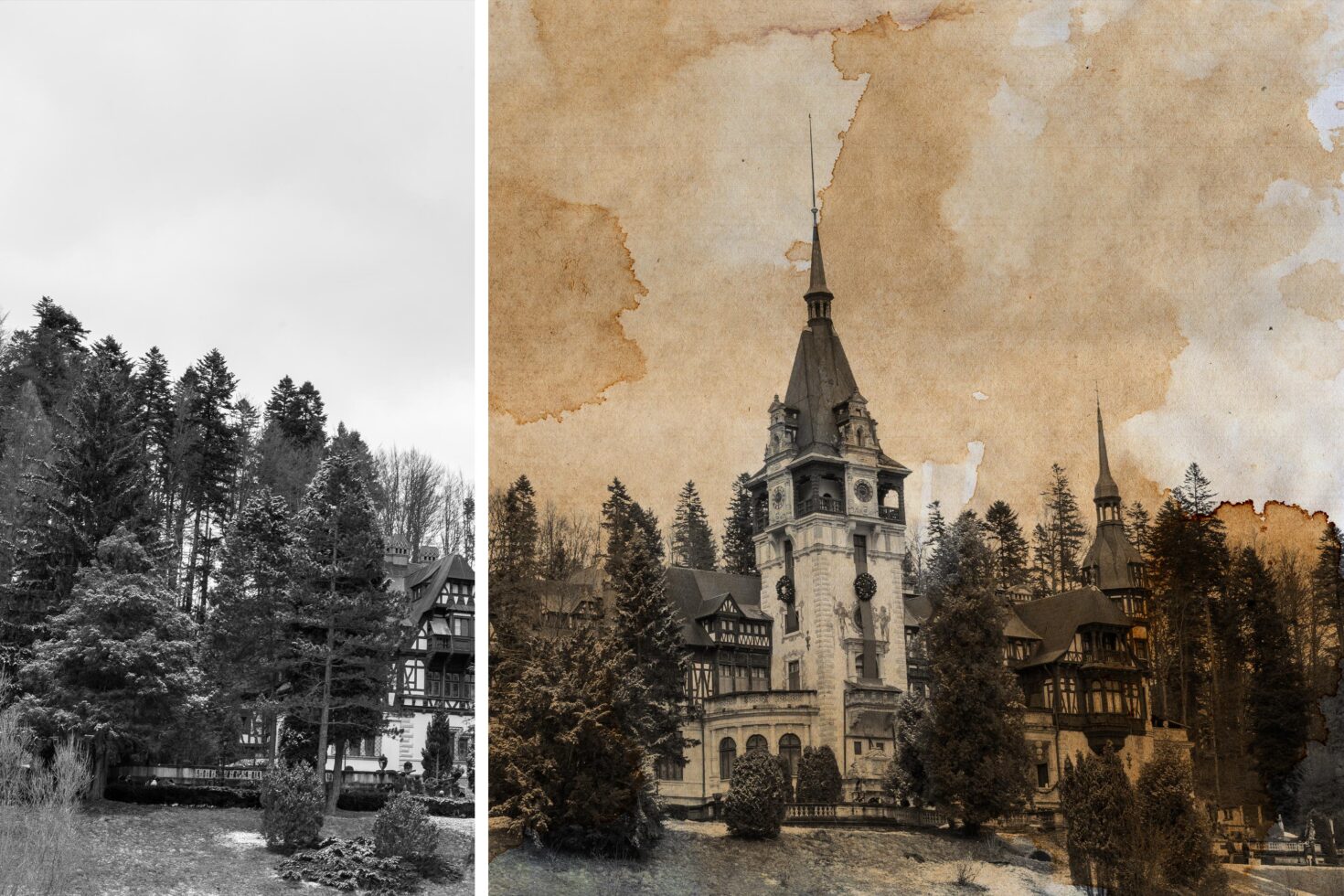 Split image of a forested landscape and vintage tower. Suitable for graphics, mockups, or templates in design projects. Sepia and black white tones.