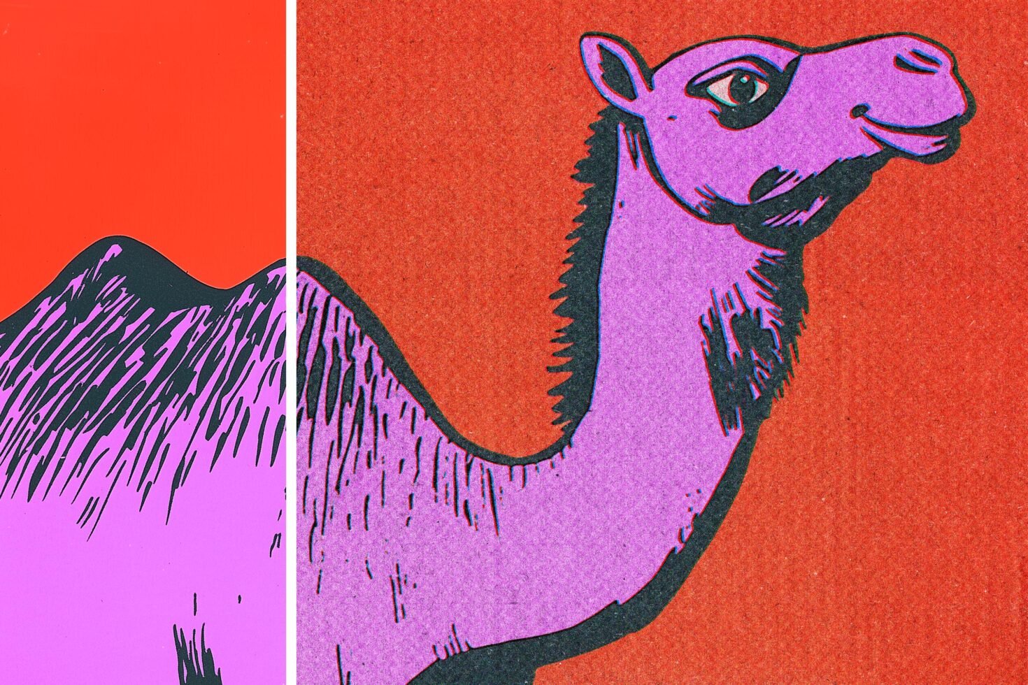 Colorful camel illustration with pop art style and bold contrast in pink and red tones. Suitable for graphic design projects and creative templates.