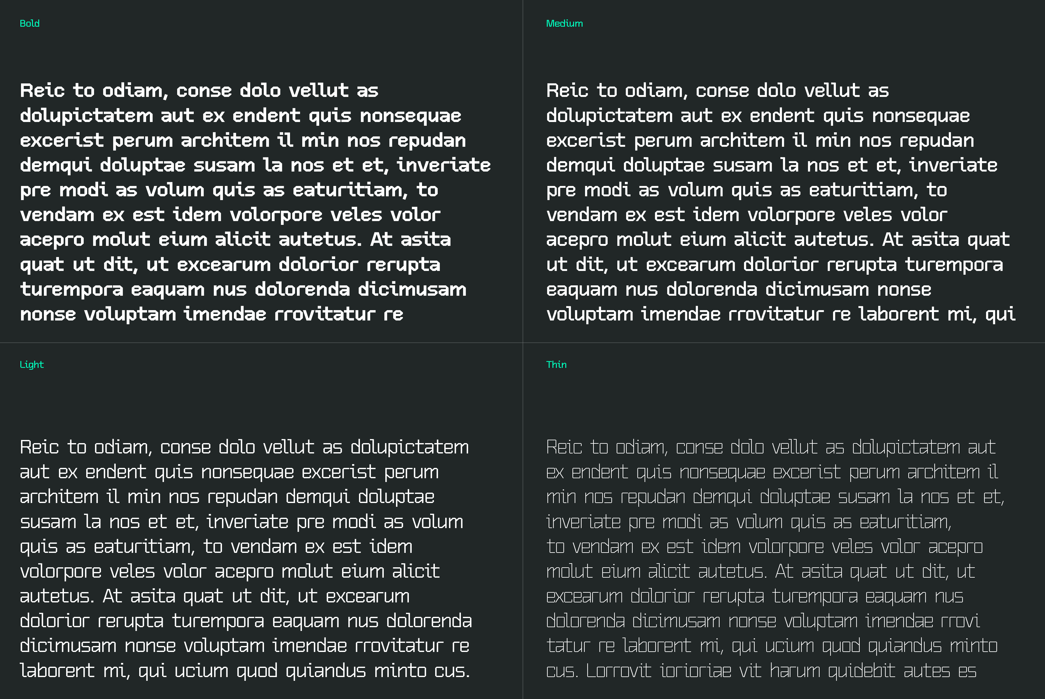 Font display showing four styles: Bold Medium Light Thin. Ideal for graphic designers. Text sample in each style for typography design evaluation.