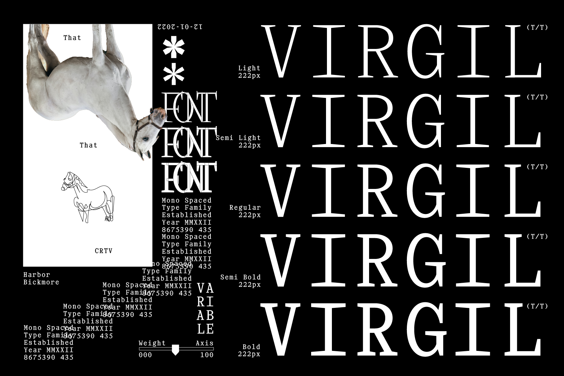 Digital font mockup featuring diverse styles and weights for VIRGIL typeface. Includes light, regular, bold, and monospaced variations for designers.