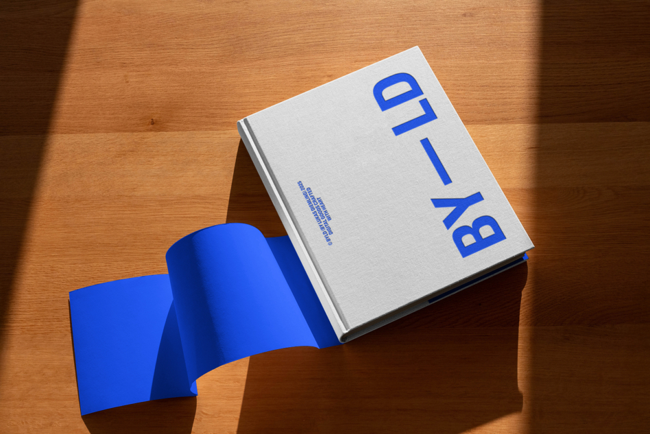 White hardcover book labeled BXI with bright blue pages spread open on wooden surface