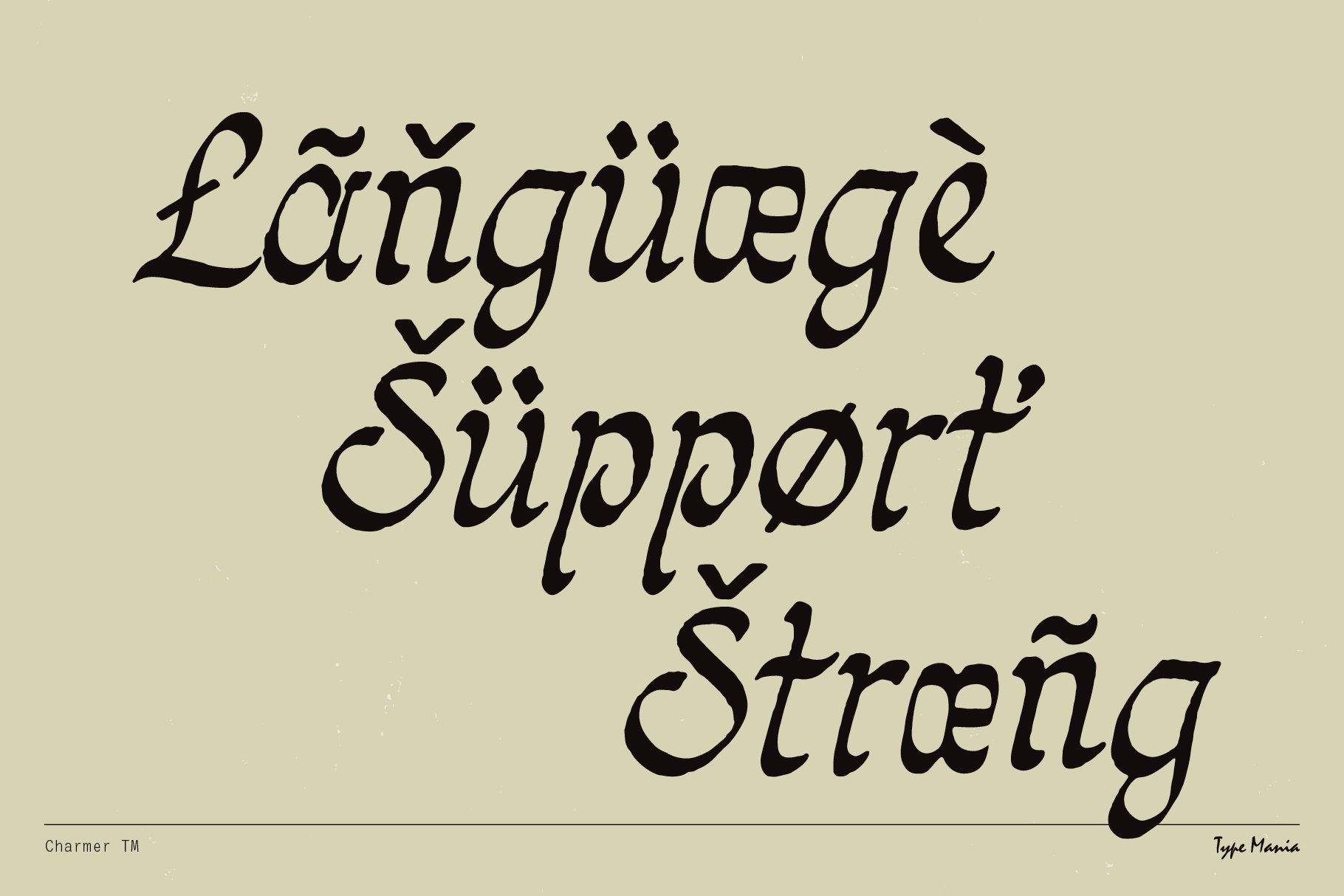 Handwritten style font showcasing multilingual support with diacritics. Suitable for graphic designers looking for unique typography. Fonts category.