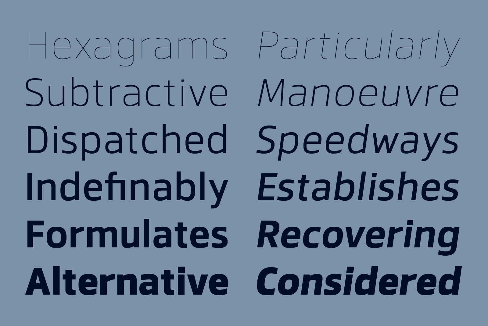 Modern sans-serif font displaying various words in different weights and styles on a slate background. Ideal for typography, graphic design.