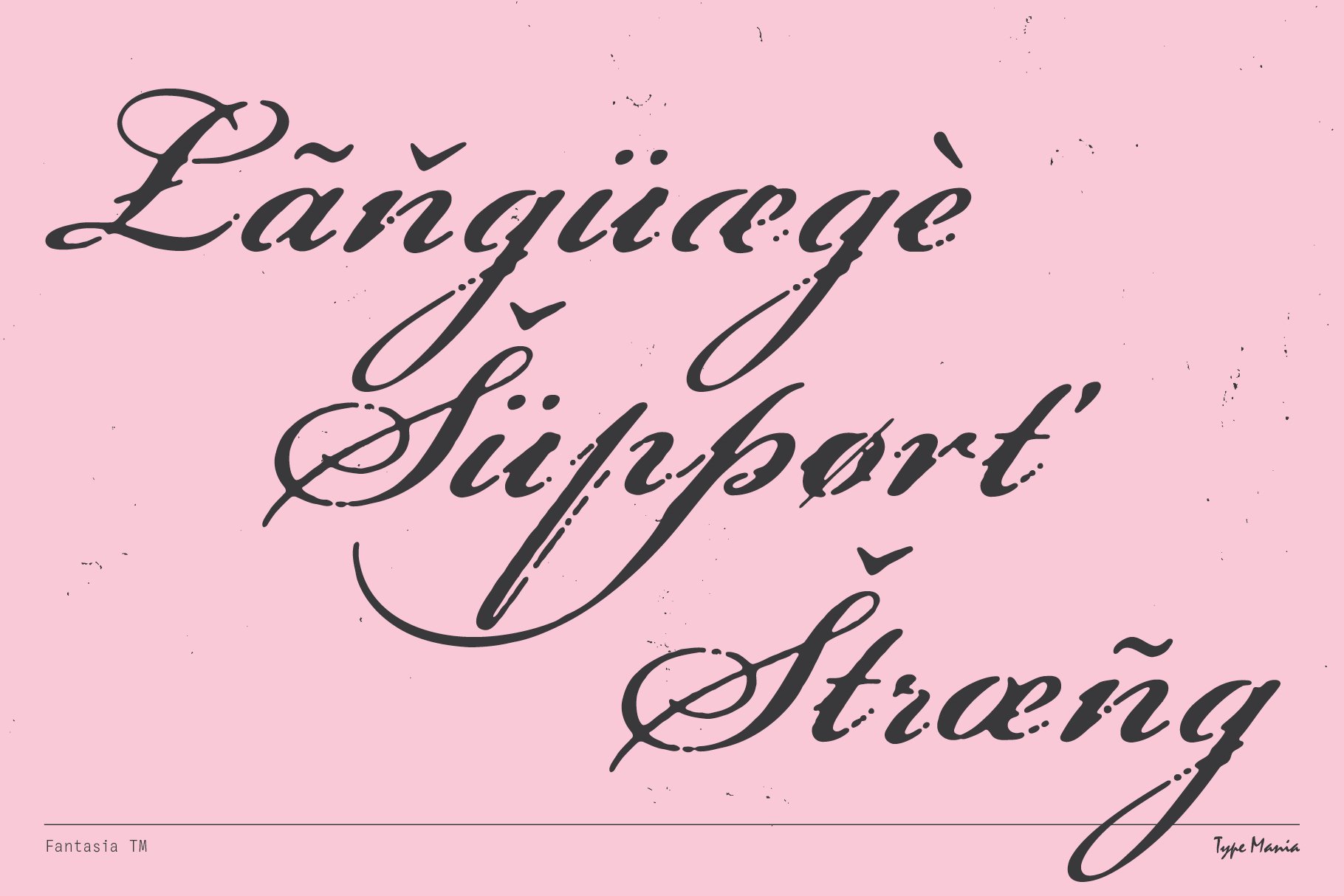 Elegant calligraphy font design with language support displayed on a pink background ideal for creative templates and typography projects