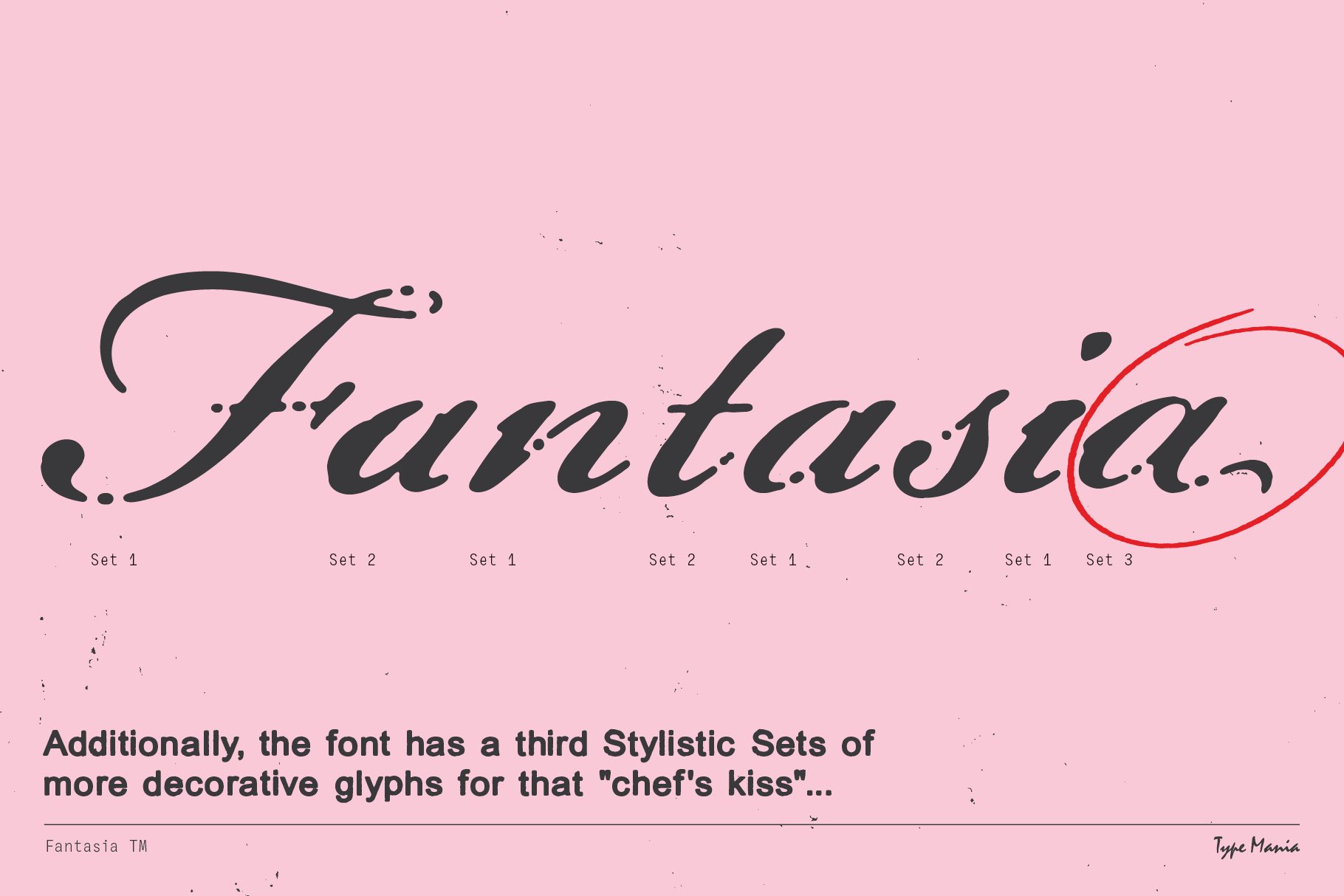 Elegant script font Fantasia on pink background showcasing decorative glyphs with multiple stylistic sets for designers. Keywords: fonts, typographic design.