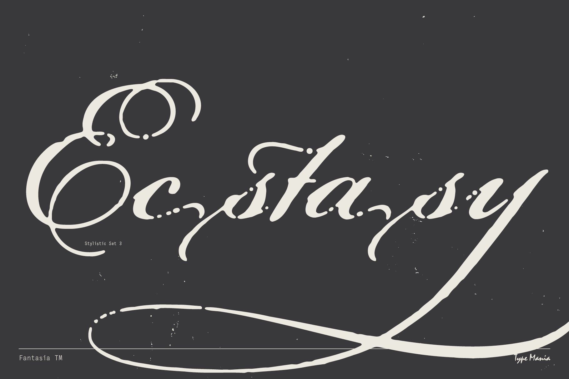 Elegant handwritten font with decorative swirls spelling Ecstasy in vintage style ideal for designers seeking artistic typography font assets graphics.