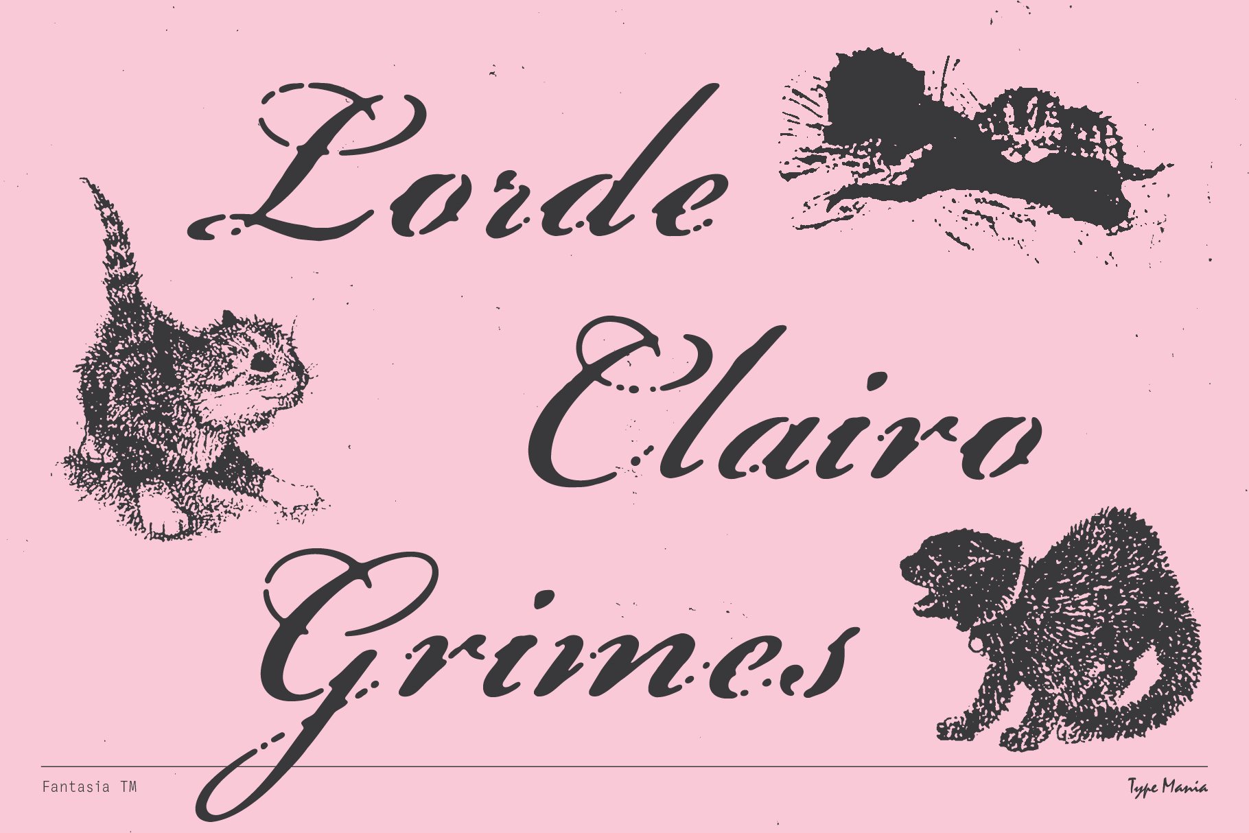 Pink background with stylized black handwriting and vintage animal sketches. Ideal for design mockups, typography, or graphic templates.