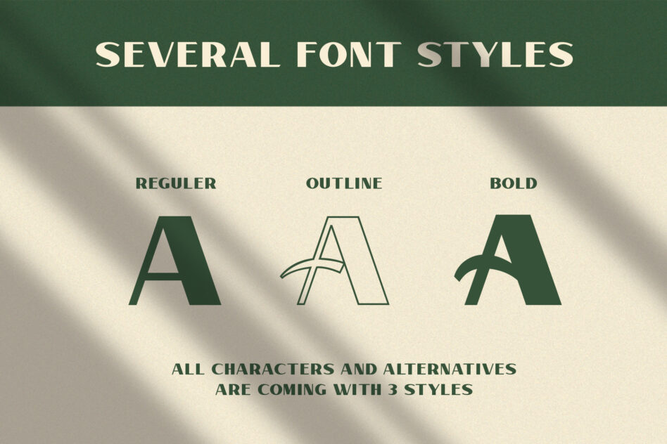 Font styles showcase displaying letter A in regular, outline, bold weight variations with decorative accents