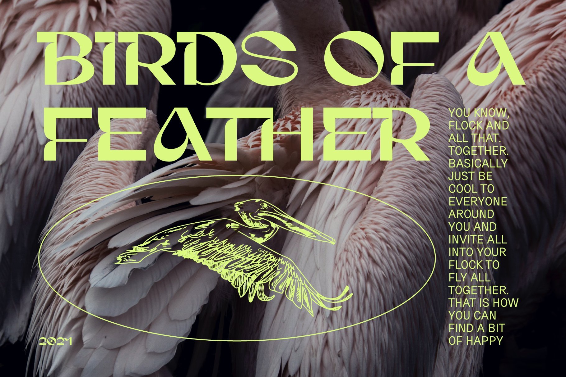 Typography design featuring neon text saying Birds of a Feather overlaid on a photo of pelican feathers, perfect for graphic designers seeking unique fonts