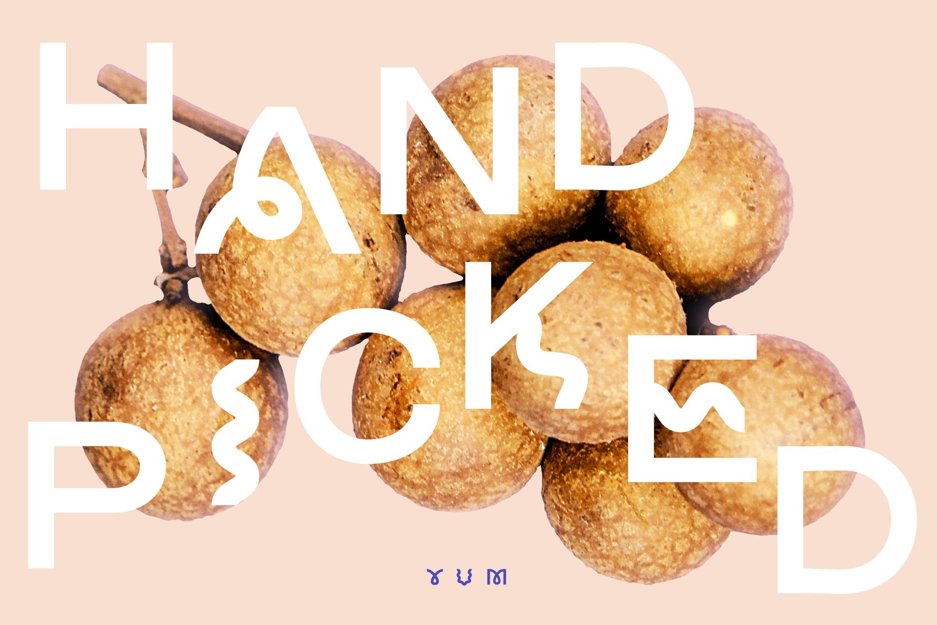 Modern font design featuring bold typography overlaying a cluster of longan fruit on a soft peach background ideal for graphic templates food themes