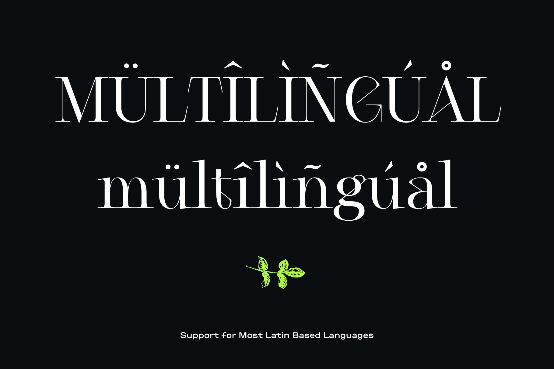 Elegant multilingual font showcasing support for Latin-based languages. Ideal for designers seeking versatile typography for projects. Font design asset.