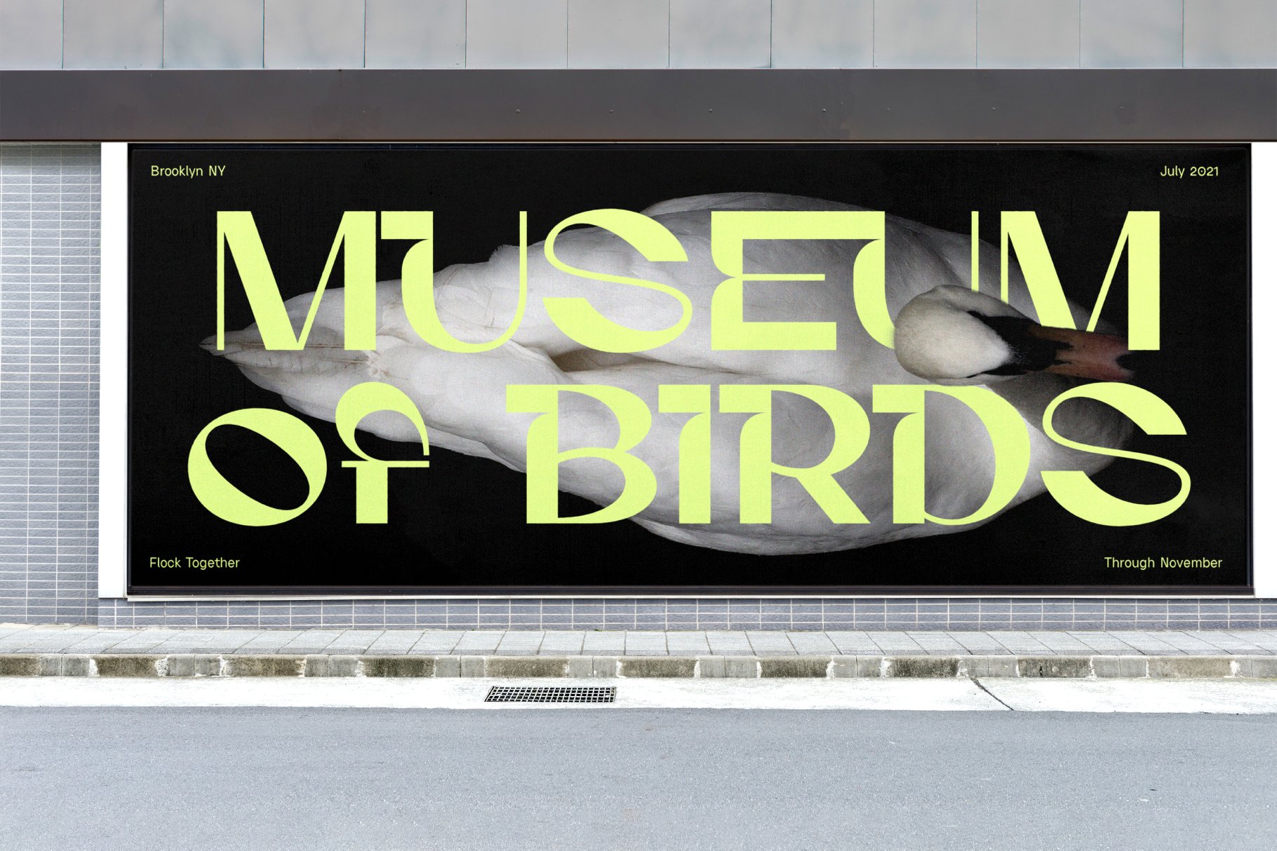 Billboard mockup showcasing bold fonts with a swan for Museum of Birds exhibition in Brooklyn NY July 2021 perfect for graphic design templates.