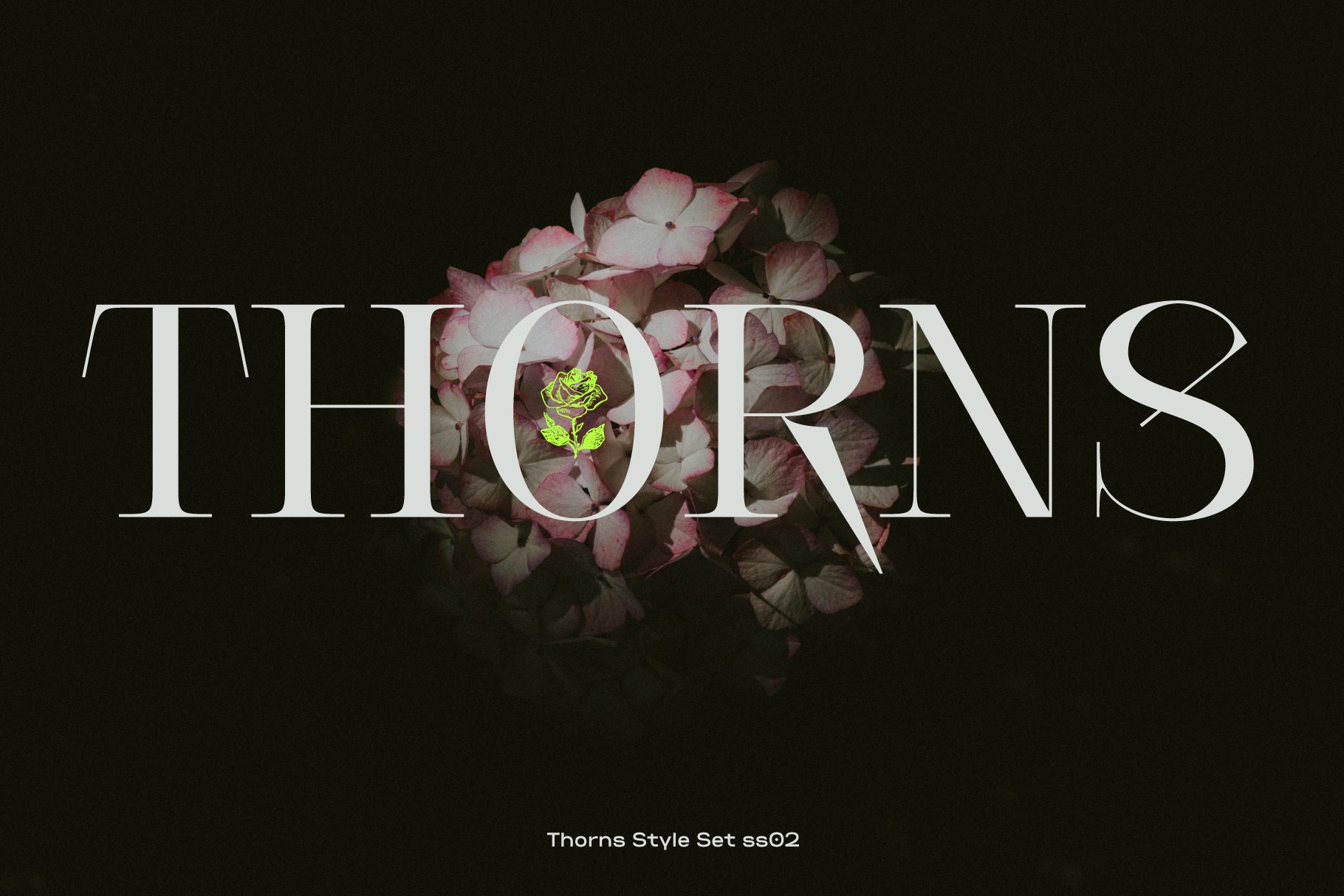 Thorns font style set with elegant serif typography overlaid on dark floral background. Ideal for designers seeking unique typography assets and graphics.