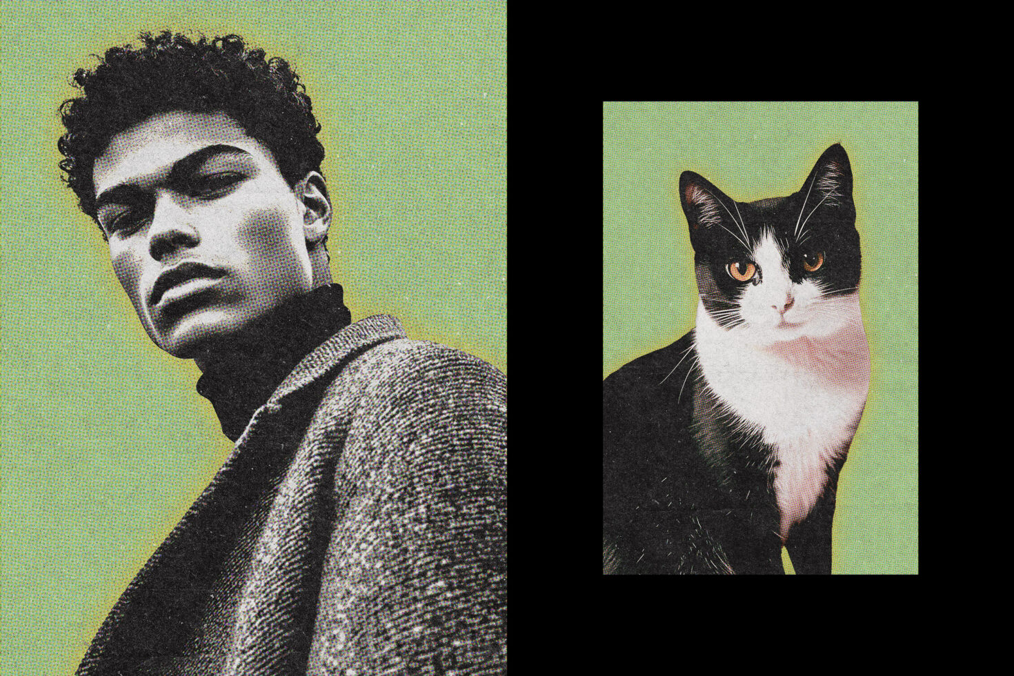 Portrait collage featuring a stylish individual in textured attire and a black and white cat with green backgrounds ideal for graphic design projects.