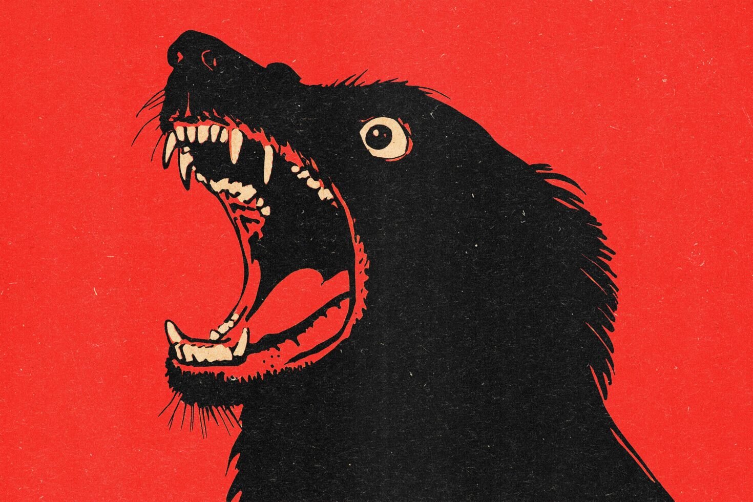 Illustration of a roaring black bear silhouette on a bold red background ideal for graphic design projects or templates vibrant wild animal art