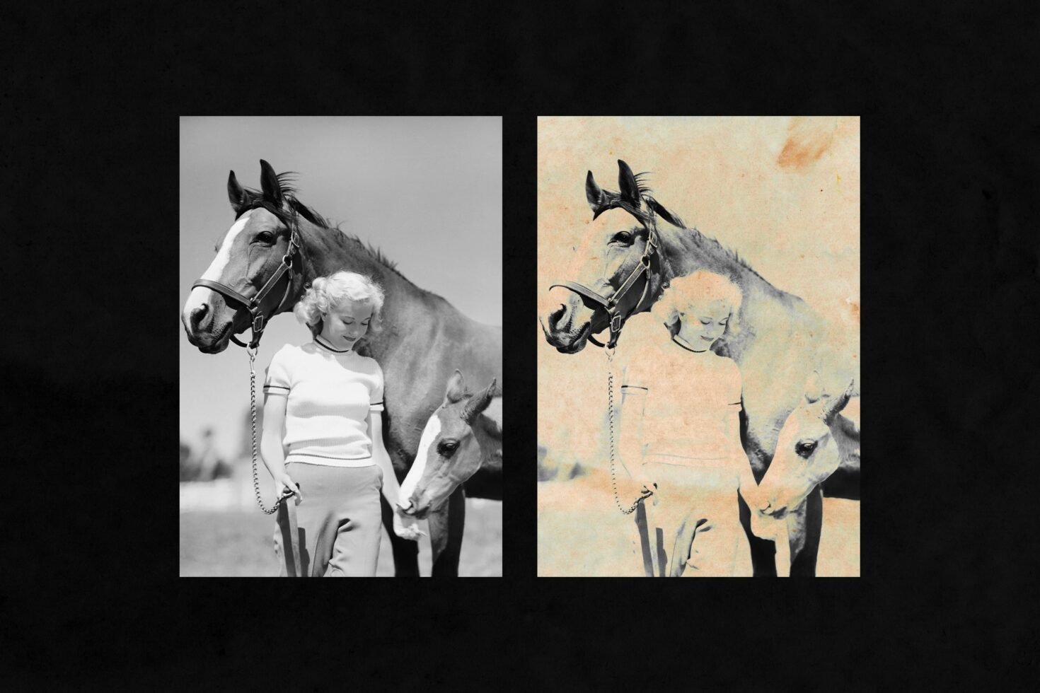 Side-by-side portraits of a woman with horses; one in black and white, one with a vintage paper effect. Ideal for graphics, design, and photo editing.