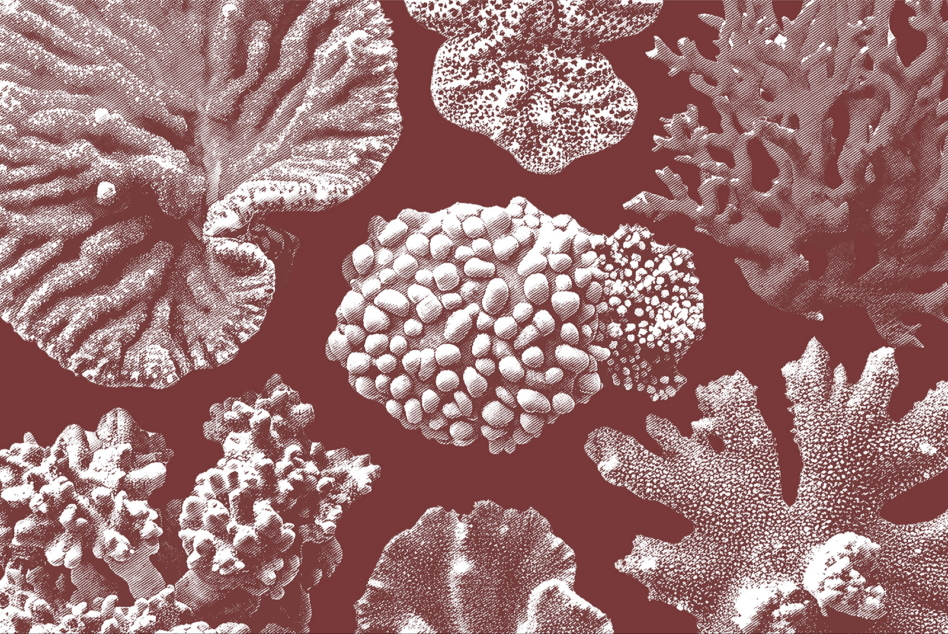 Stippled coral pattern repeat in burgundy with cream textured ocean organisms