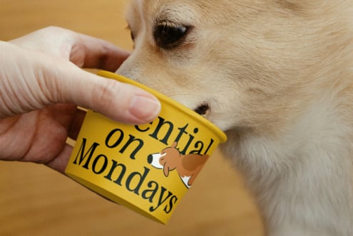 Dog drinking from a yellow cup with playful typography and cartoon design. Perfect for designers seeking unique graphics, templates, and mockup inspiration.