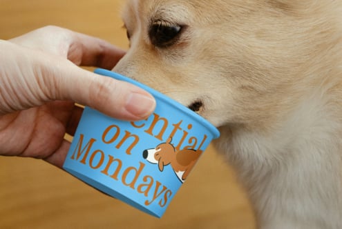 Person holding blue ice cream cup with playful dog graphic and letters on it next to a dog. Ideal for branding mockups or design projects. Keywords: mockup, branding, design, pet.