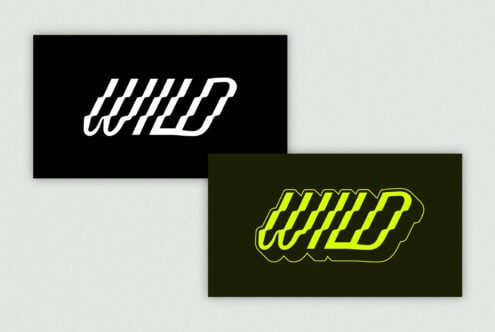 Bold typography design showcasing the word WILD in modern font style with light and dark variants ideal for logo templates and graphic design usage.